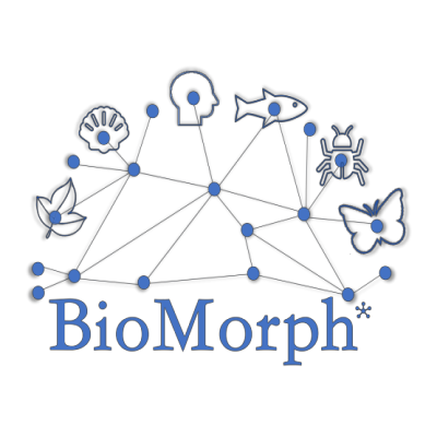 BioMorph